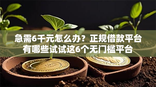急需6千元怎么办？正规借款平台有哪些试试这6个无门槛平台