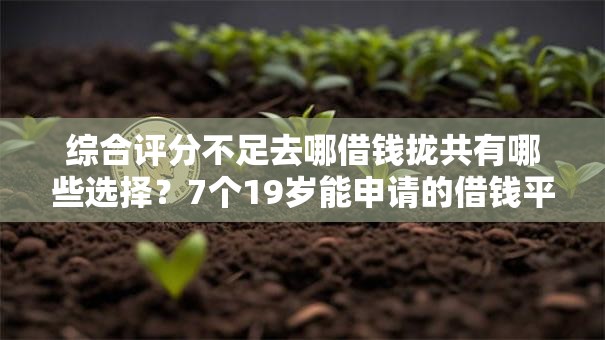 综合评分不足去哪借钱拢共有哪些选择？7个19岁能申请的借钱平台详解