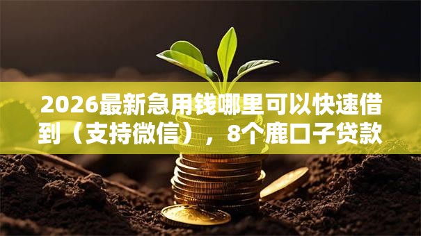 2026最新急用钱哪里可以快速借到（支持微信），8个鹿口子贷款无私分享