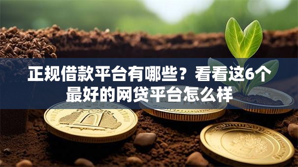 正规借款平台有哪些？看看这6个最好的网贷平台怎么样