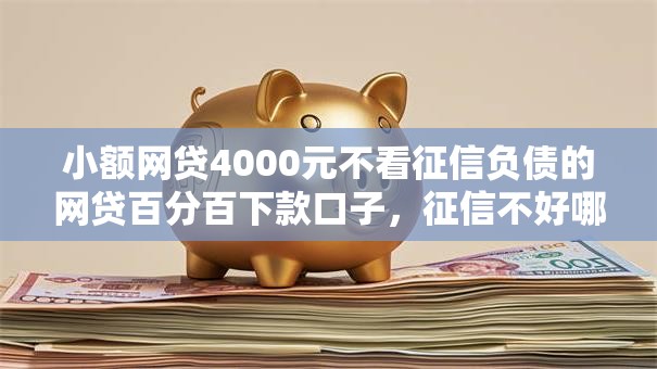 小额网贷4000元不看征信负债的网贷百分百下款口子，征信不好哪里可以借钱的6个平台介绍