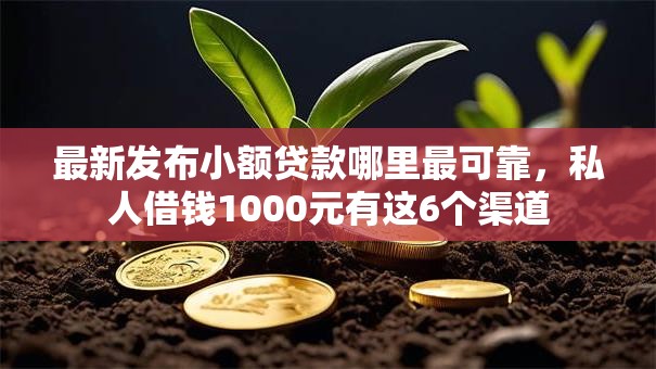 最新发布小额贷款哪里最可靠，私人借钱1000元有这6个渠道