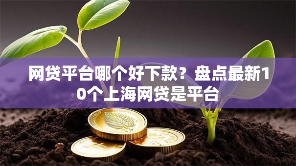 网贷平台哪个好下款？盘点最新10个上海网贷是平台