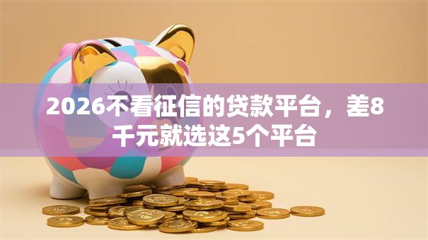 2026不看征信的贷款平台，差8千元就选这5个平台