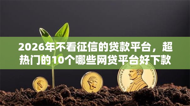 2026年不看征信的贷款平台，超热门的10个哪些网贷平台好下款推荐