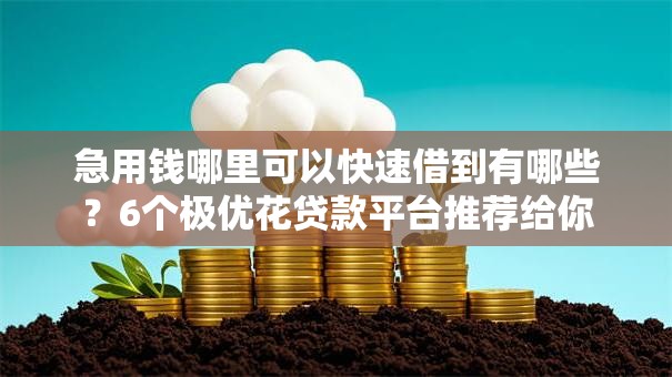 急用钱哪里可以快速借到有哪些？6个极优花贷款平台推荐给你