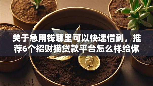 关于急用钱哪里可以快速借到，推荐6个招财猫贷款平台怎么样给你