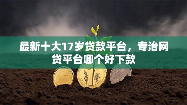 最新十大17岁贷款平台，专治网贷平台哪个好下款