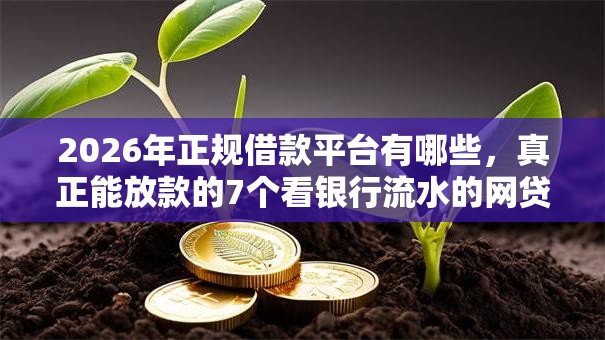 2026年正规借款平台有哪些,真正能放款的7个看银行流水的网贷口子推荐 2026年正规借款平台有哪些,真正能放款的7个看银行流水的网贷口子推荐