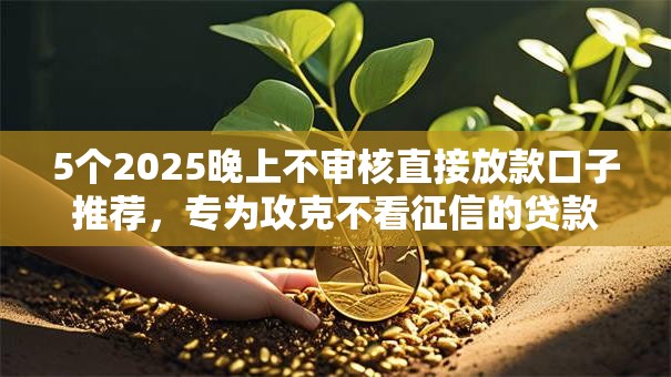 5个2025晚上不审核直接放款口子推荐，专为攻克不看征信的贷款平台难题