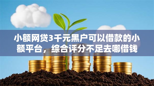 小额网贷3千元黑户可以借款的小额平台,综合评分不足去哪借钱的6个平台介绍 小额网贷3千元黑户可以借款的小额平台,综合评分不足去哪借钱的6个平台介绍