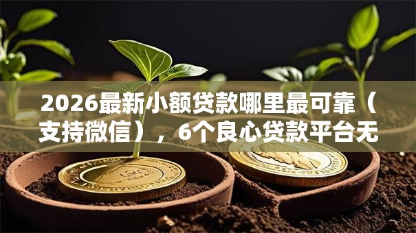 2026最新小额贷款哪里最可靠(支持微信),6个良心贷款平台无私分享 2026最新小额贷款哪里最可靠(支持微信),6个良心贷款平台无私分享