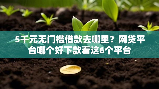5千元无门槛借款去哪里？网贷平台哪个好下款看这6个平台