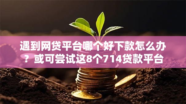 遇到网贷平台哪个好下款怎么办？或可尝试这8个714贷款平台