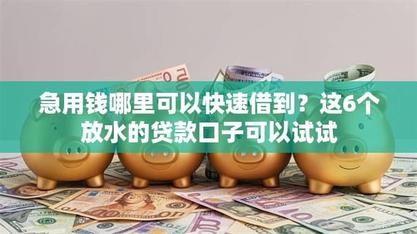 急用钱哪里可以快速借到？这6个放水的贷款口子可以试试