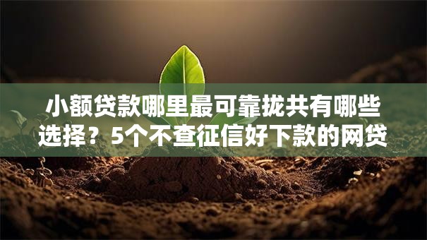 小额贷款哪里最可靠拢共有哪些选择?5个不查征信好下款的网贷平台详解 小额贷款哪里最可靠拢共有哪些选择?5个不查征信好下款的网贷平台详解