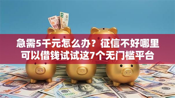 急需5千元怎么办？征信不好哪里可以借钱试试这7个无门槛平台