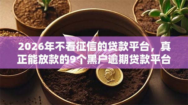 2026年不看征信的贷款平台,真正能放款的9个黑户逾期贷款平台推荐 2026年不看征信的贷款平台,真正能放款的9个黑户逾期贷款平台推荐