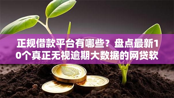 正规借款平台有哪些?盘点最新10个真正无视逾期大数据的网贷软件 正规借款平台有哪些?盘点最新10个真正无视逾期大数据的网贷软件