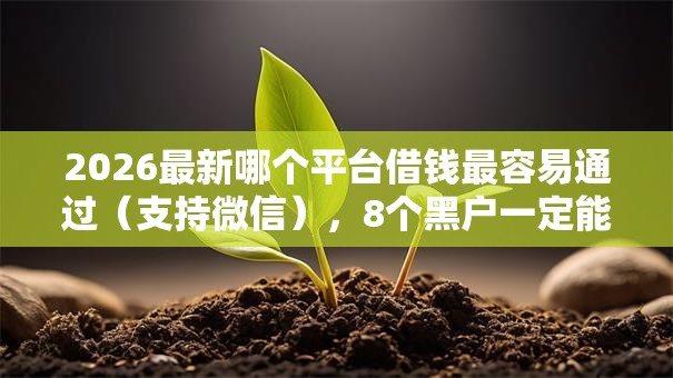 2026最新哪个平台借钱最容易通过（支持微信），8个黑户一定能过的平台无私分享