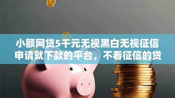 小额网贷5千元无视黑白无视征信申请就下款的平台，不看征信的贷款平台的7个平台介绍