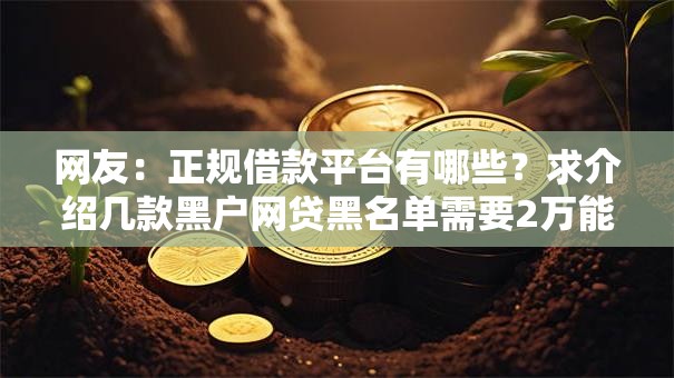 网友：正规借款平台有哪些？求介绍几款黑户网贷黑名单需要2万能借款平台