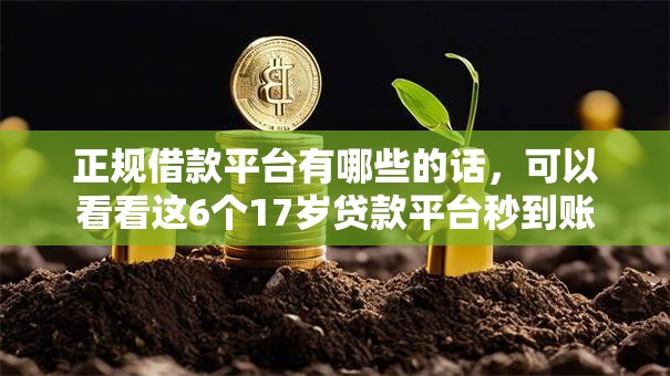 正规借款平台有哪些的话，可以看看这6个17岁贷款平台秒到账