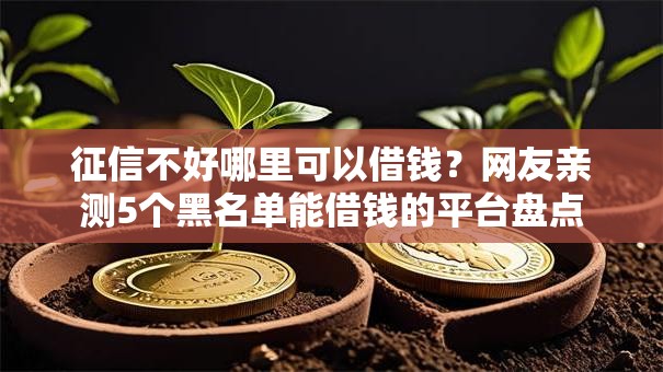 征信不好哪里可以借钱？网友亲测5个黑名单能借钱的平台盘点