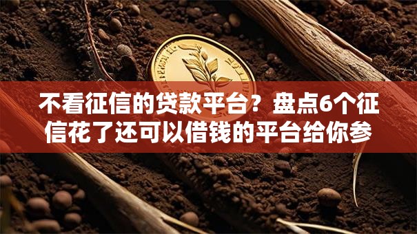 不看征信的贷款平台？盘点6个征信花了还可以借钱的平台给你参考