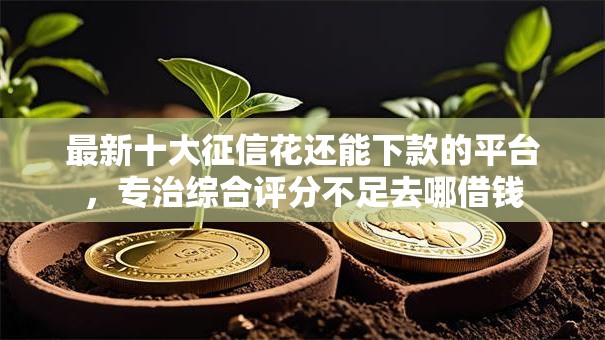 最新十大征信花还能下款的平台，专治综合评分不足去哪借钱