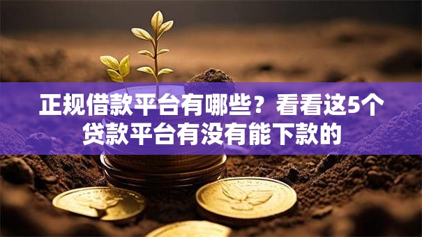 正规借款平台有哪些？看看这5个贷款平台有没有能下款的