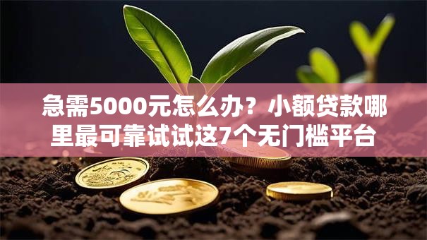 急需5000元怎么办?小额贷款哪里最可靠试试这7个无门槛平台 急需5000元怎么办?小额贷款哪里最可靠试试这7个无门槛平台