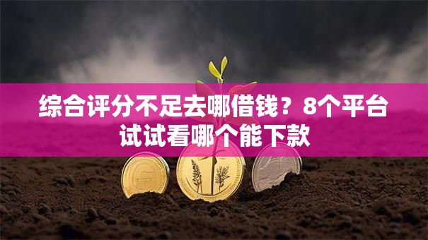 综合评分不足去哪借钱？8个平台试试看哪个能下款