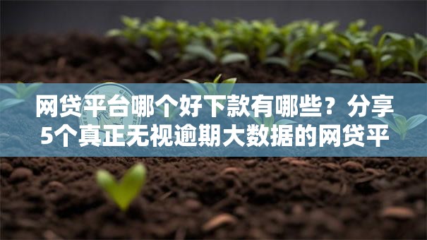网贷平台哪个好下款有哪些？分享5个真正无视逾期大数据的网贷平台