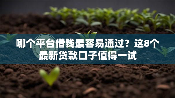哪个平台借钱最容易通过？这8个最新贷款口子值得一试