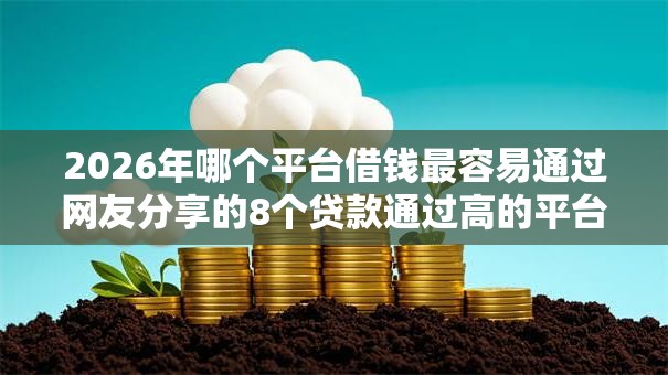 2026年哪个平台借钱最容易通过网友分享的8个贷款通过高的平台我觉得不错！