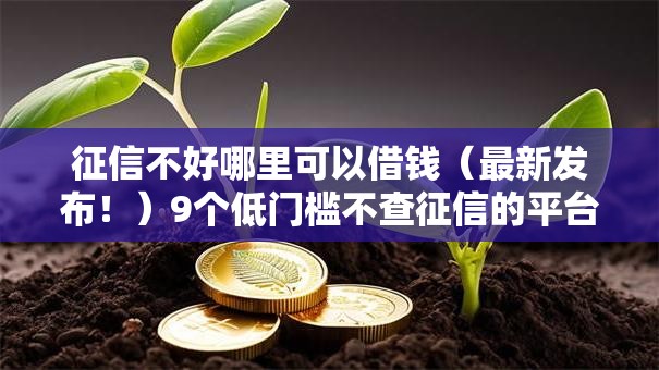 征信不好哪里可以借钱（最新发布！）9个低门槛不查征信的平台