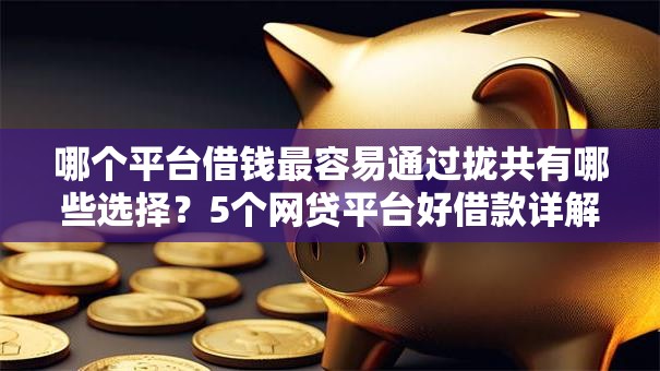哪个平台借钱最容易通过拢共有哪些选择？5个网贷平台好借款详解