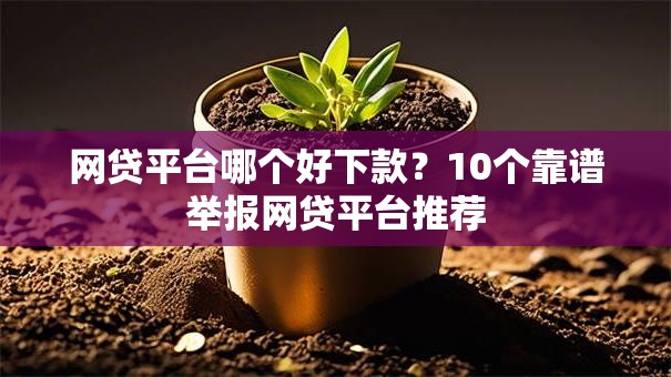 网贷平台哪个好下款？10个靠谱举报网贷平台推荐