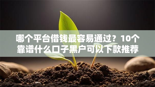 哪个平台借钱最容易通过？10个靠谱什么口子黑户可以下款推荐