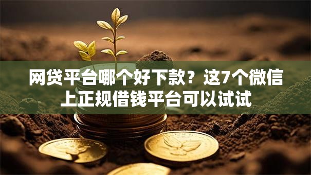 网贷平台哪个好下款？这7个微信上正规借钱平台可以试试