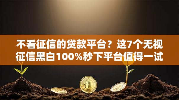 不看征信的贷款平台？这7个无视征信黑白100%秒下平台值得一试