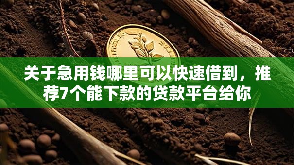 关于急用钱哪里可以快速借到,推荐7个能下款的贷款平台给你 关于急用钱哪里可以快速借到,推荐7个能下款的贷款平台给你