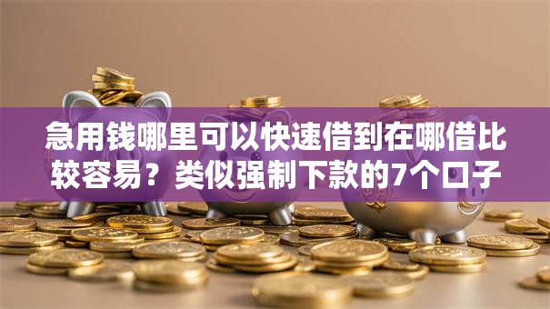 急用钱哪里可以快速借到在哪借比较容易？类似强制下款的7个口子参考