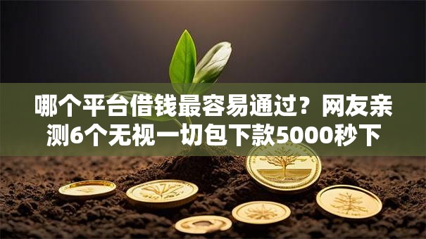 哪个平台借钱最容易通过？网友亲测6个无视一切包下款5000秒下款的平台盘点
