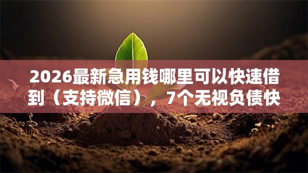 2026最新急用钱哪里可以快速借到（支持微信），7个无视负债快速下款长期网贷的口子无私分享