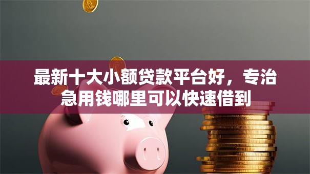 最新十大小额贷款平台好，专治急用钱哪里可以快速借到