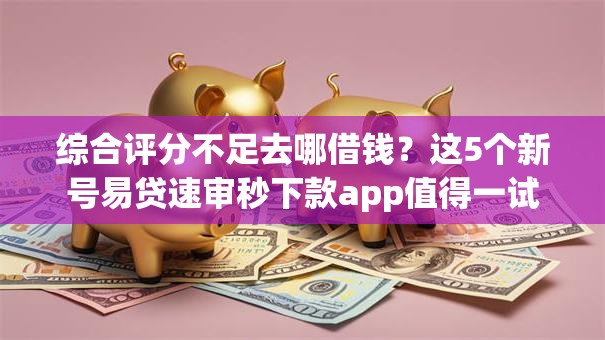 综合评分不足去哪借钱？这5个新号易贷速审秒下款app值得一试