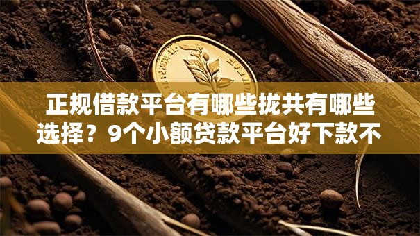 正规借款平台有哪些拢共有哪些选择？9个小额贷款平台好下款不看征信详解