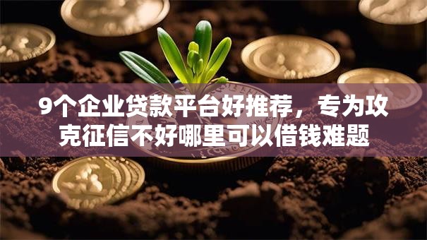 9个企业贷款平台好推荐，专为攻克征信不好哪里可以借钱难题